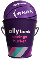 A basketball inside an Ally savings bucket